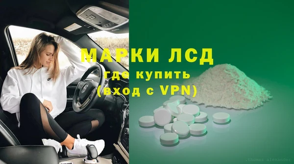 гашик Белокуриха