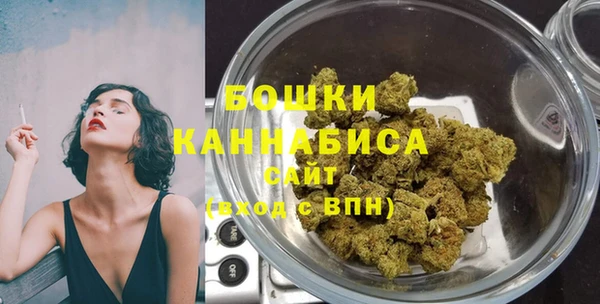 гашик Белокуриха