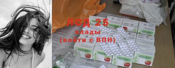 гашик Белокуриха